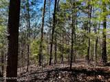 107125 Chestnut Mountain Rd - Photo 28