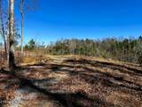 107125 Chestnut Mountain Rd - Photo 8