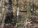 0 County Road 62 - Photo 3