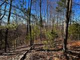 107125 Chestnut Mountain Road - Photo 16