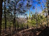 107125 Chestnut Mountain Road - Photo 17
