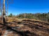 107125 Chestnut Mountain Road - Photo 7
