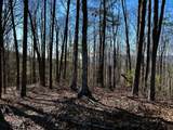 107125 Chestnut Mountain Road - Photo 10