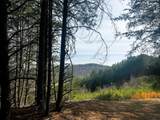 7 Sw Owl Hollow Road - Photo 2