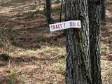 7 Sw Owl Hollow Road - Photo 28