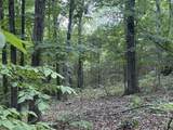 0 Jack Holt Rd - Photo 5