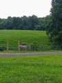 4563 Cumberland City Rd - Photo 23