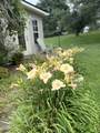 301 W College St - Photo 11