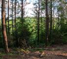 1882 Hillbrook Dr - Photo 6