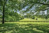 1204 Madison Creek Rd - Photo 19
