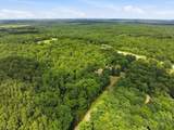 40 Black Mountain - Photo 44