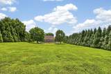 2305 Clara Mathis Rd - Photo 5