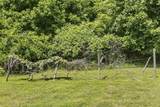 2305 Clara Mathis Rd - Photo 41