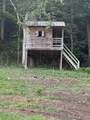 45 Friendship Hollow Rd - Photo 12