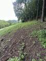 45 Friendship Hollow Rd - Photo 14