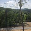 125 Indian Ridge Drive - Photo 4