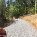 125 Indian Ridge Drive - Photo 6