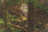 0 Long Fork Creek Rd - Photo 2