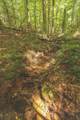 0 Long Fork Creek Rd - Photo 11