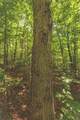 0 Long Fork Creek Rd - Photo 12