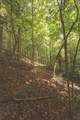 0 Long Fork Creek Rd - Photo 18