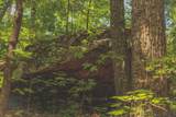 0 Long Fork Creek Rd - Photo 25