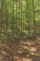 0 Long Fork Creek Rd - Photo 4