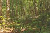 0 Long Fork Creek Rd - Photo 33