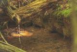 0 Long Fork Creek Rd - Photo 5