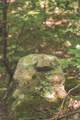 0 Long Fork Creek Rd - Photo 6