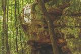 0 Long Fork Creek Rd - Photo 7
