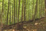 0 Long Fork Creek Rd - Photo 9
