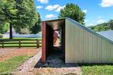 133 Mallard Trail - Photo 62