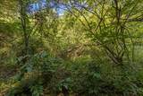 0 Quail Run Drive - Photo 20