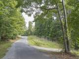 165 Maple Drive - Photo 4