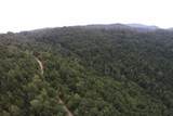 2 Straight Fork Road - Photo 4