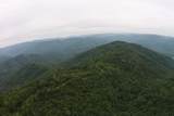 2 Straight Fork Road - Photo 6