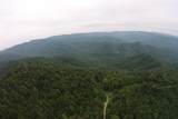 2 Straight Fork Road - Photo 7