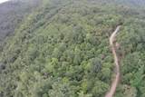 2 Straight Fork Road - Photo 9