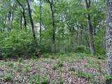 0 Harrison Ferry Rd - Photo 14