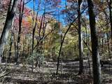 0 Harrison Ferry Rd - Photo 3