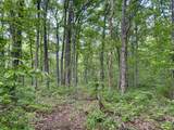 0 Harrison Ferry Rd - Photo 6