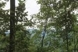 3 Straight Fork Road - Photo 2