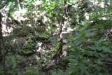 425 Baugh Hollow Ln - Photo 23