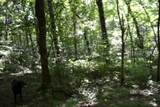 425 Baugh Hollow Ln - Photo 29