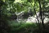 425 Baugh Hollow Ln - Photo 30