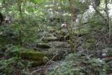 425 Baugh Hollow Ln - Photo 32