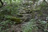 425 Baugh Hollow Ln - Photo 33