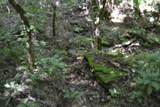 425 Baugh Hollow Ln - Photo 34