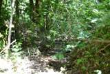 425 Baugh Hollow Ln - Photo 35
